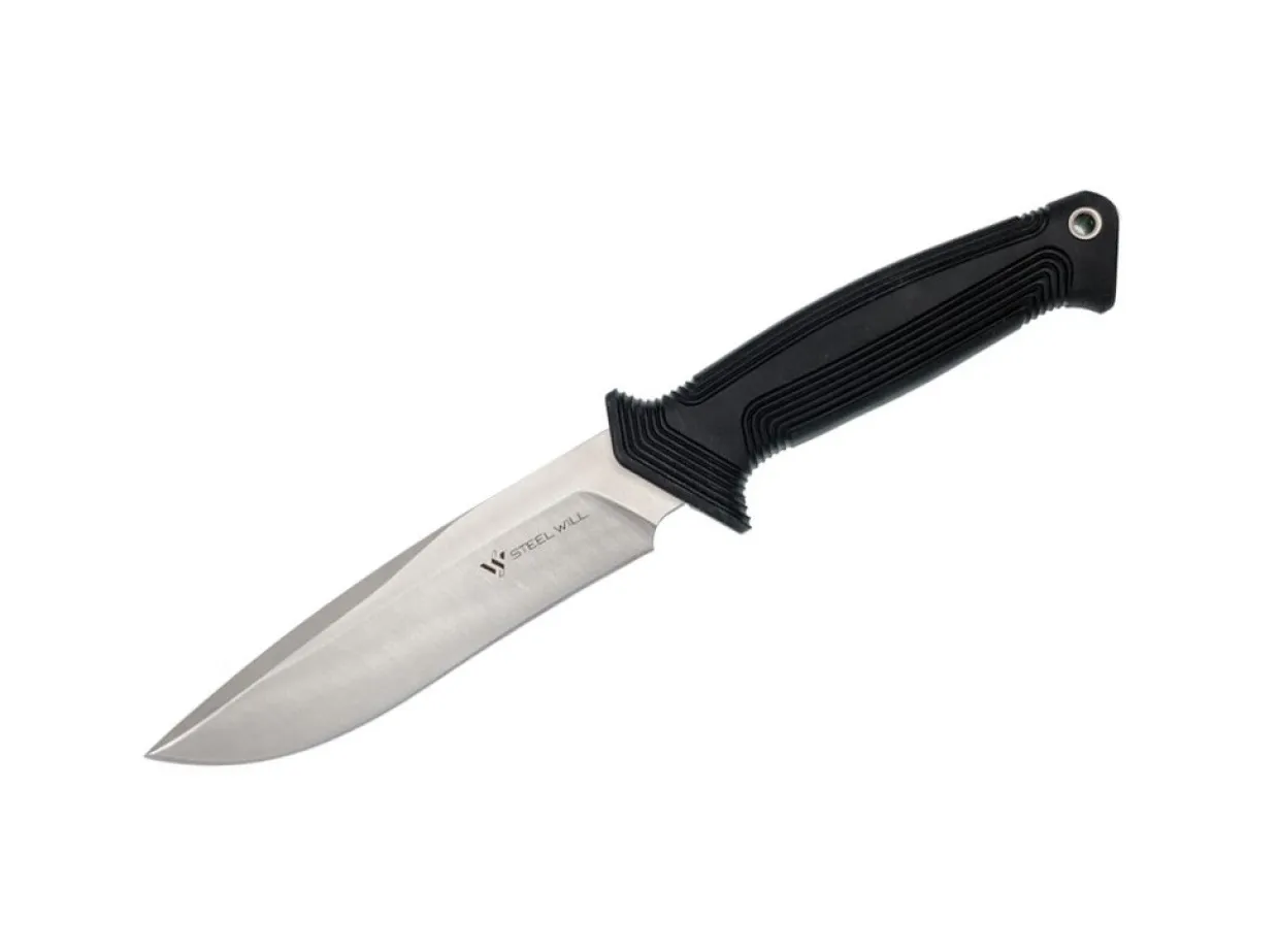 Argonaut 810