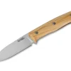 B35 Olive