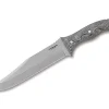 Belgian Bowie