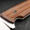 Bison Guayacan
