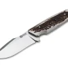 Bison Hirschhorn