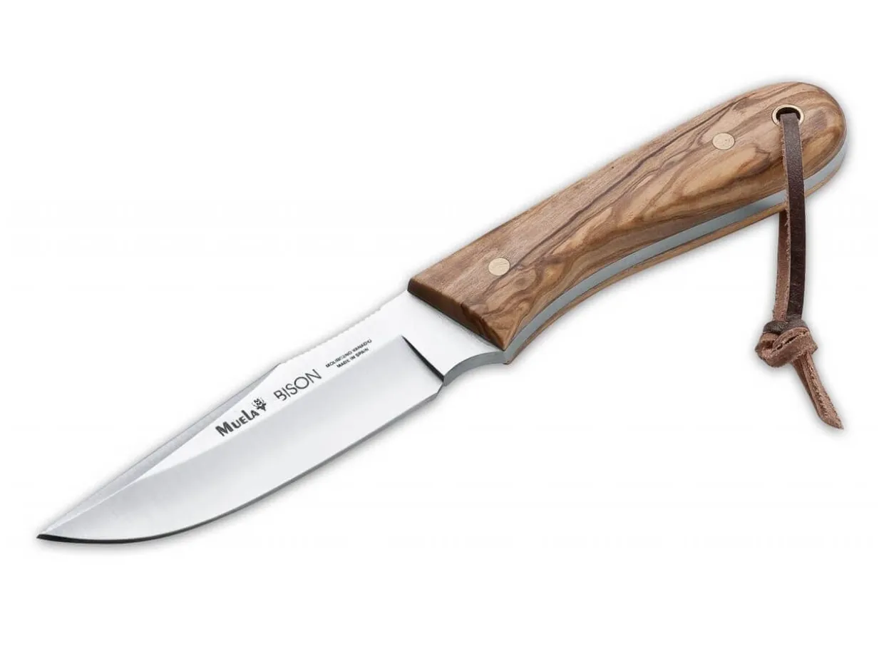 Bison Olive