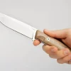 Blaze D2 Walnut