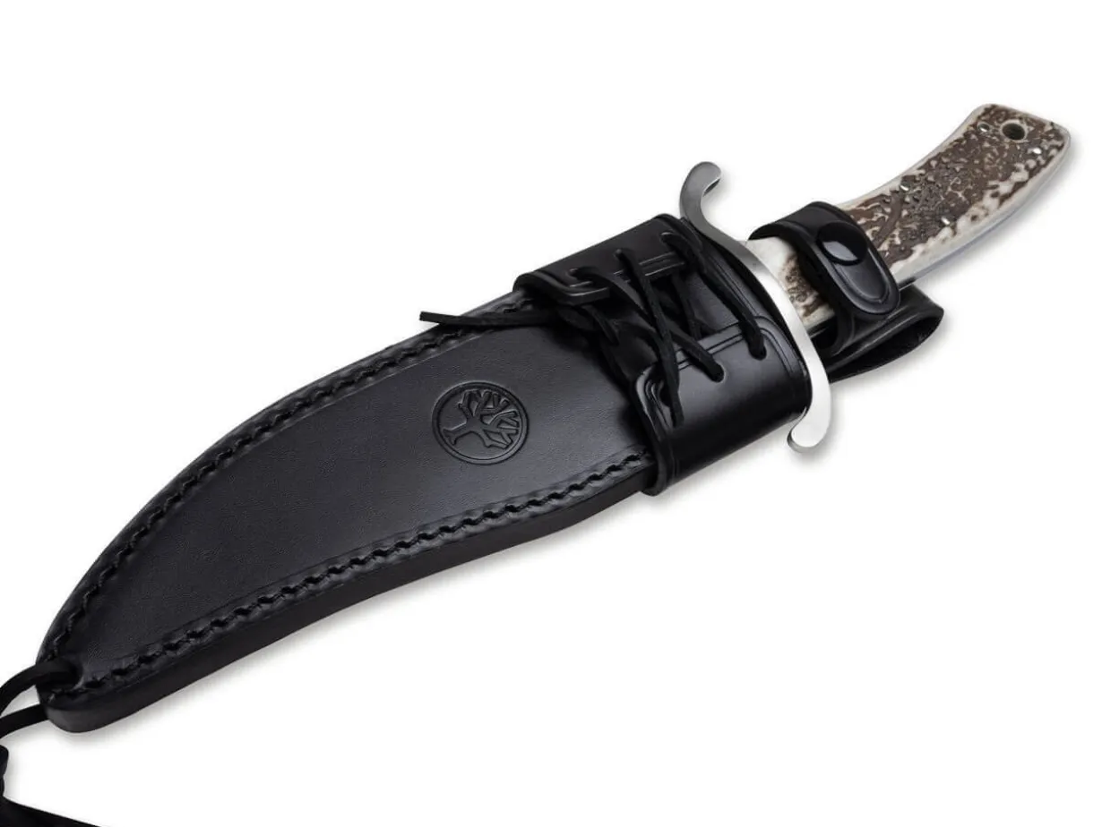 Bowie N690 Hirschhorn