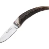 Bw-6C Stag