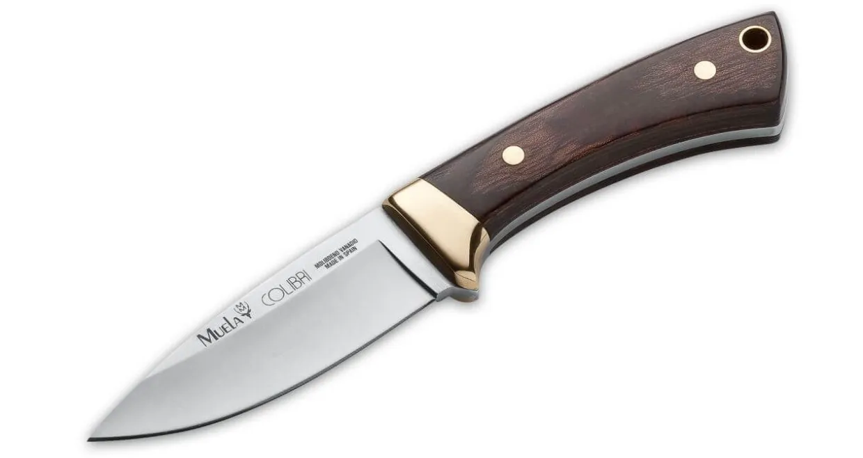 Colibri Wood