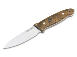 Cub Maserbirke Braun