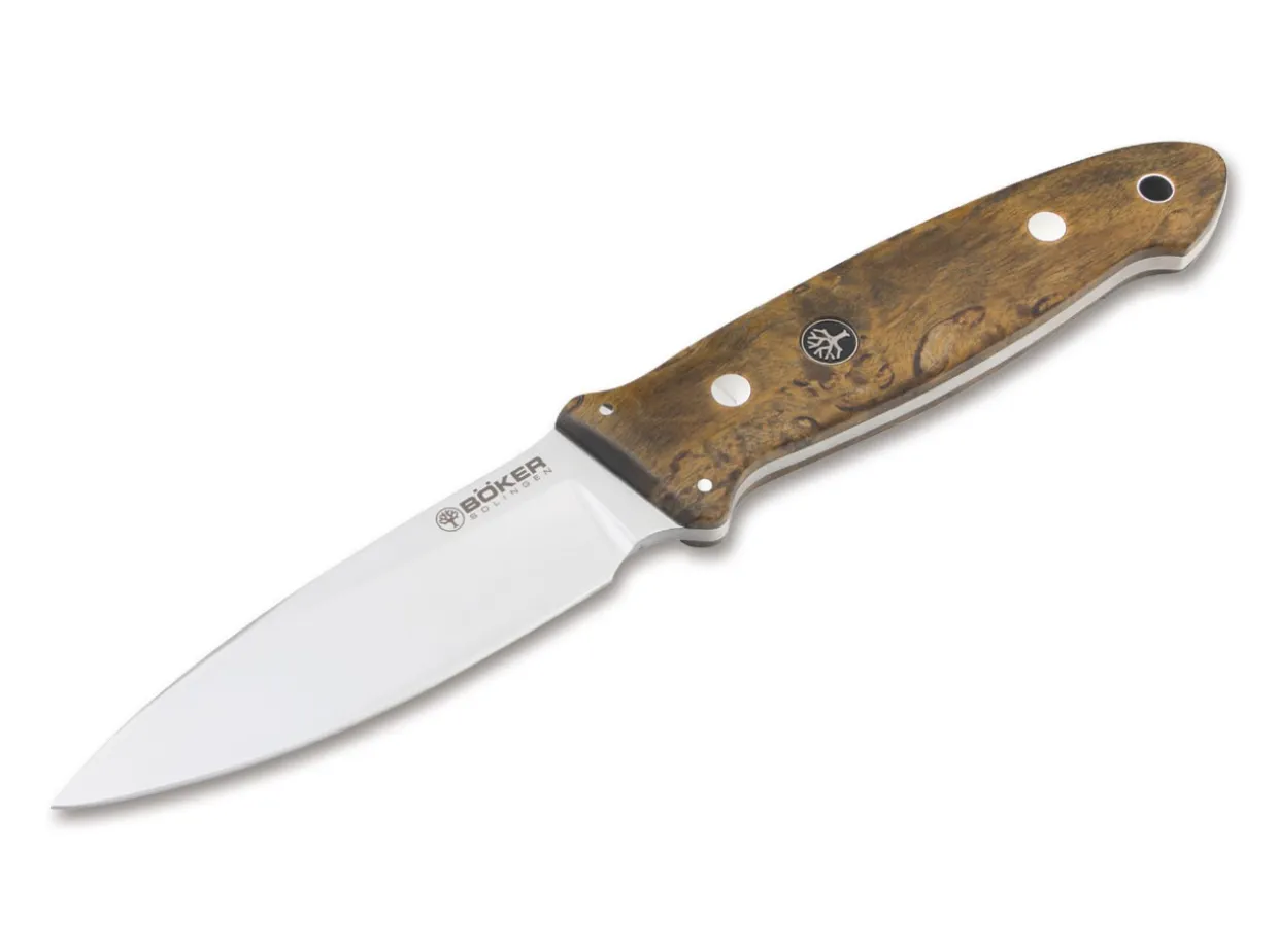 Cub Maserbirke Braun