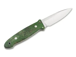 Cub Maserbirke Grun