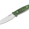 Cub Maserbirke Grun