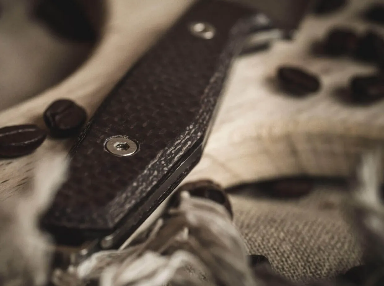 Daily Knives Ak1 Reverse Tanto Bison