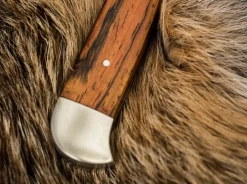 Forsternicker Cocobolo