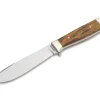 Forsternicker Maserbirke Braun