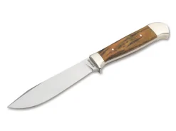 Forsternicker Maserbirke Braun