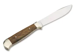 Forsternicker Maserbirke Braun