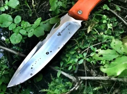 Gekko 1533