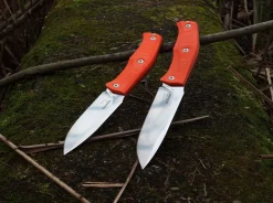 Gekko 1533