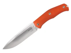 Gekko 1533