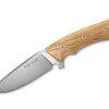 Gianghi Olive