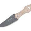 Gmf3-P