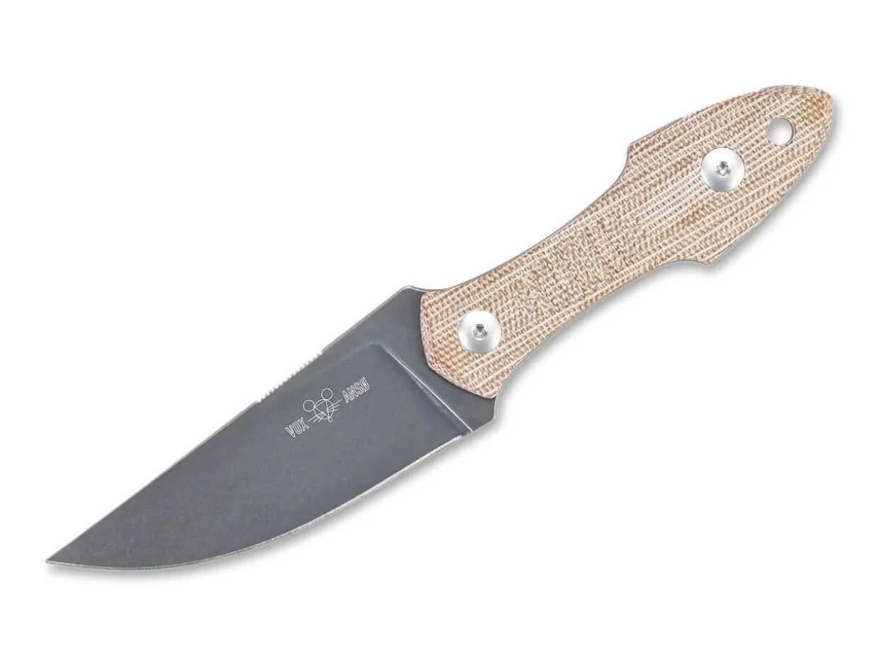 Gmf3-P