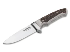 Integral Ii Hirschhorn