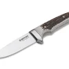 Integral Ii Hirschhorn