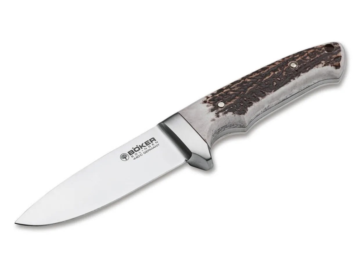 Integral Ii Hirschhorn