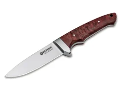 Integral Ii Maserbirke