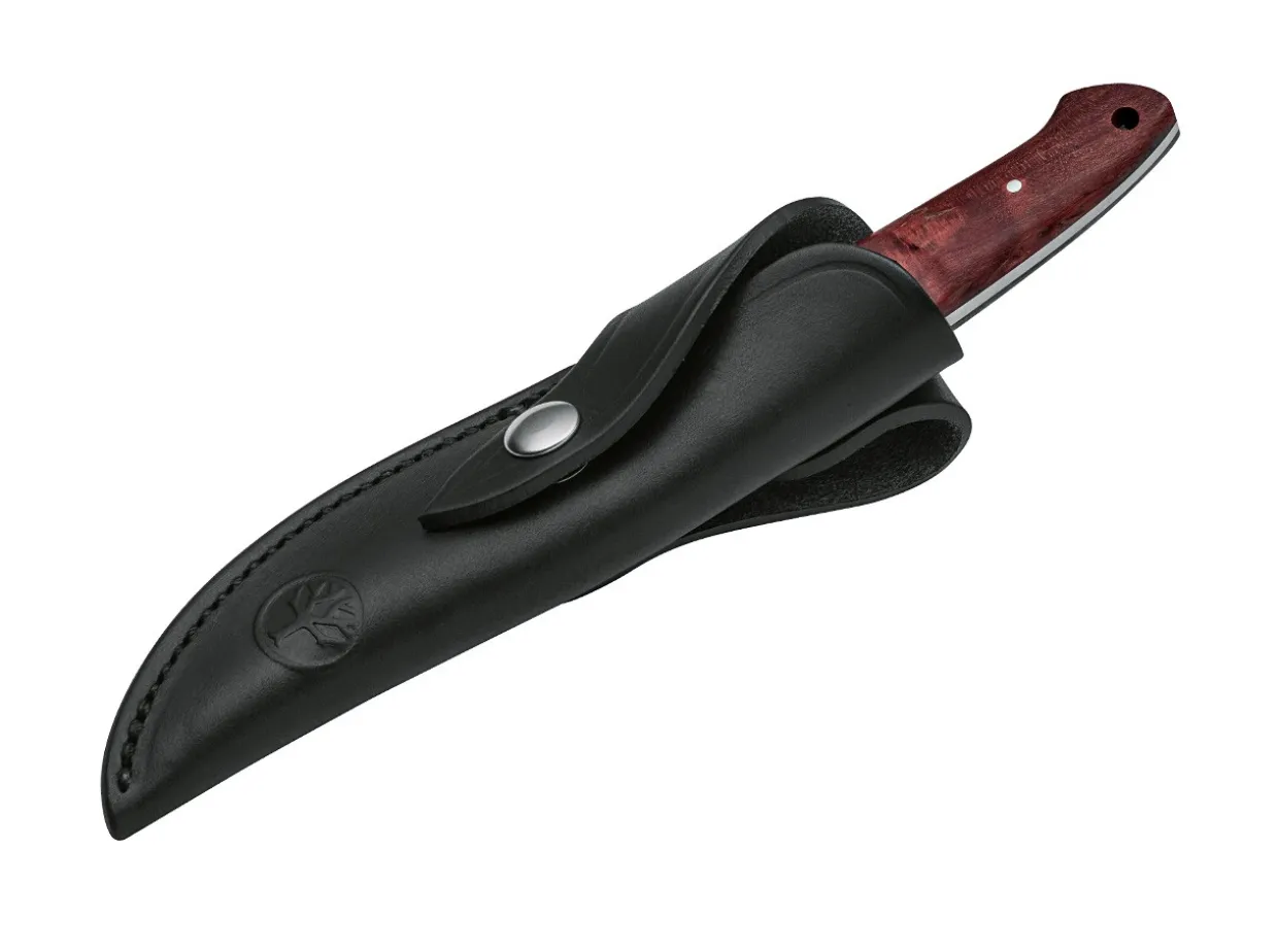 Integral Ii Maserbirke