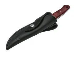 Integral Ii Maserbirke