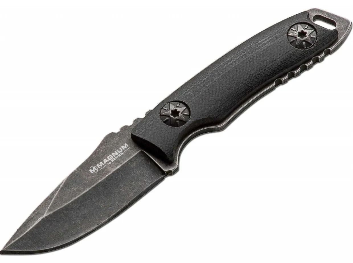 Li'L Friend Clip Point