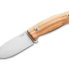 M2M Olive Wood