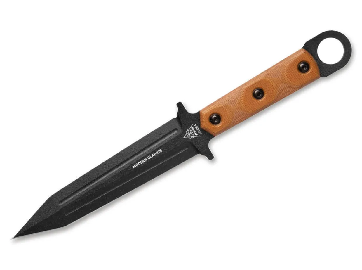 Modern Gladius