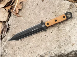 Modern Gladius