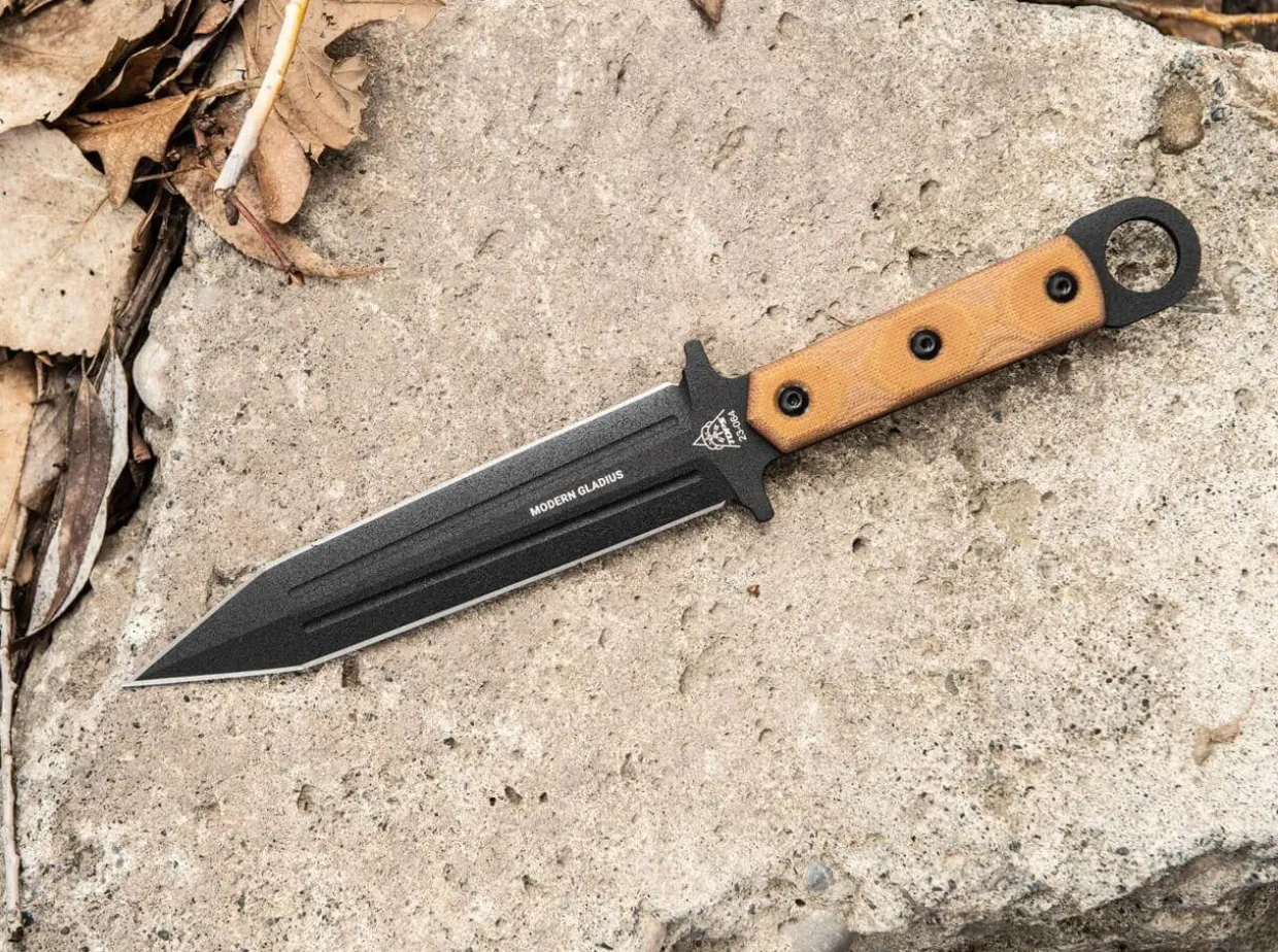 Modern Gladius