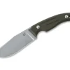 Octopus Vulgaris Green G10