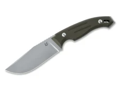Octopus Vulgaris Green G10