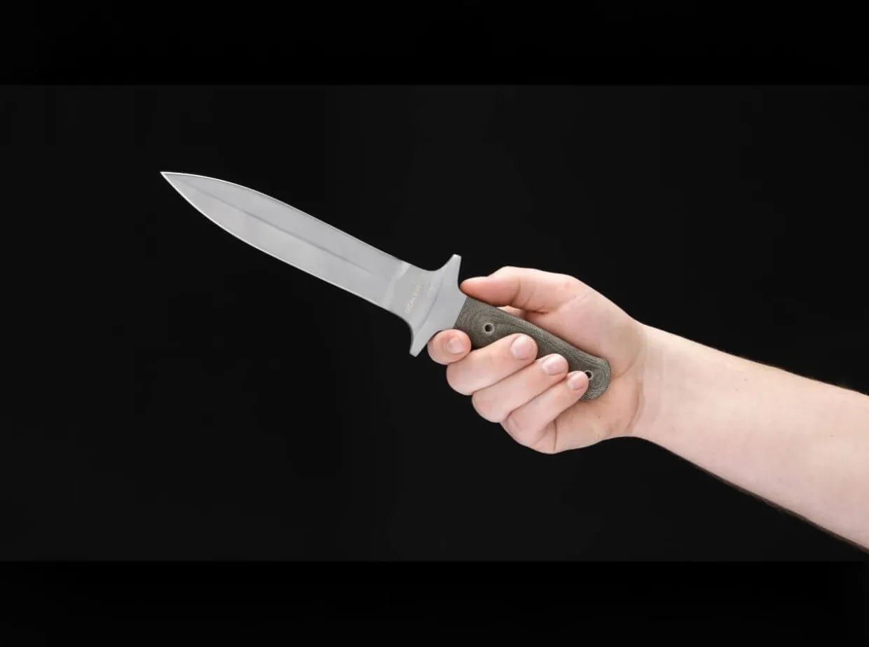 Schanz Integral Dagger