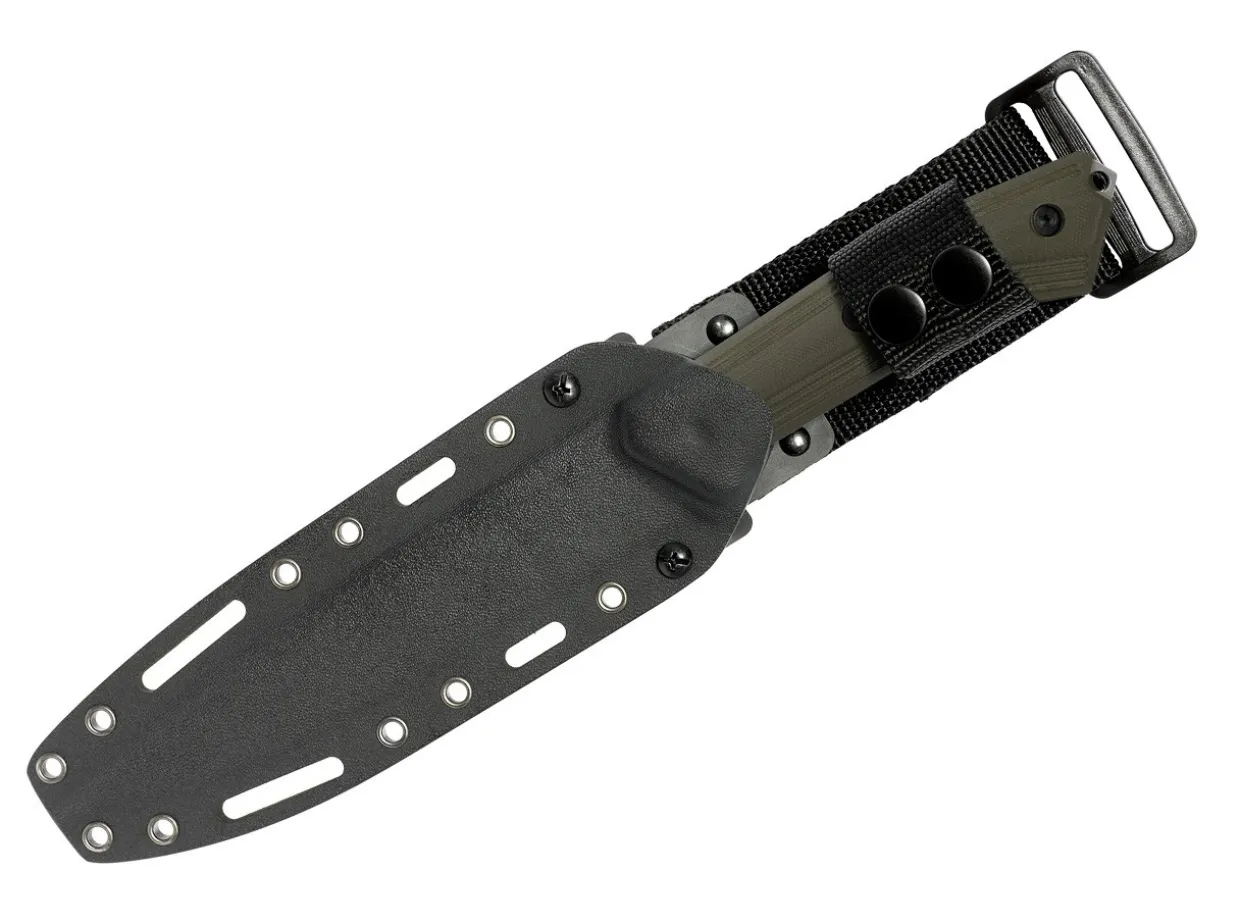 Sentence 131 Tanto