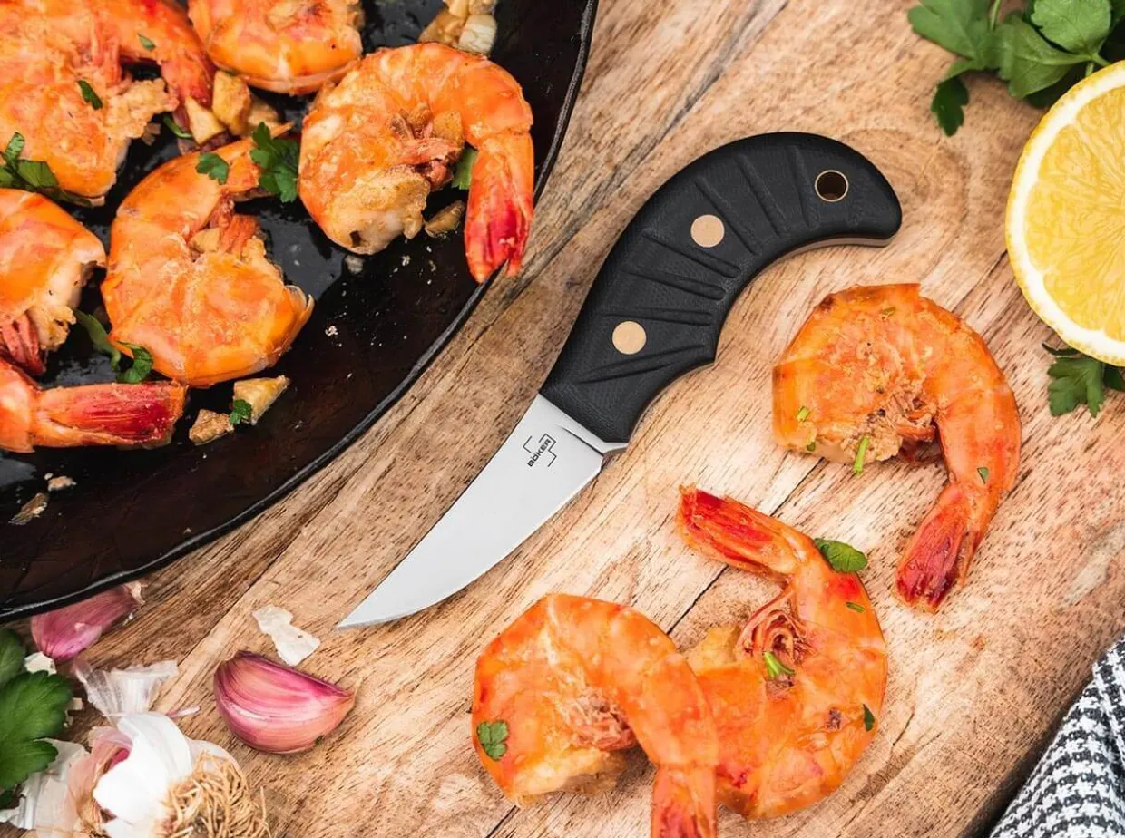 Shrimp