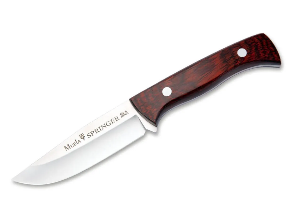 Springer-11R