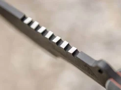 Sxb