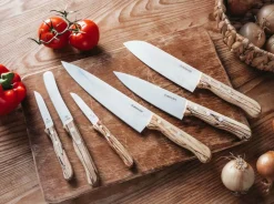 Tenera Chefmesser Mittel Eisbuche C75
