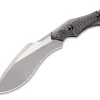 Vaquita